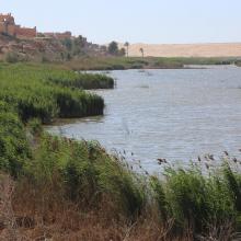 Oued As-Saqia Al Hamra en contact de la ville de La'youne et végétation émergente (vue vers l'amont)
