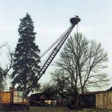 The nest of White Stork on abandoned tractor used for wetlands drainage.