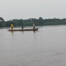 Partie de pêche au filet dérivant exercée par les femmes sur le fleuve Congo à Konzolo (Mossaka)