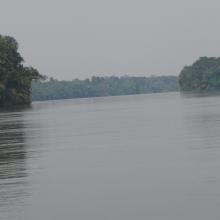 Le cours de la rivière Alima