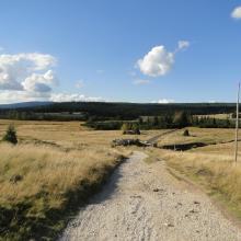 peatland on Izera River