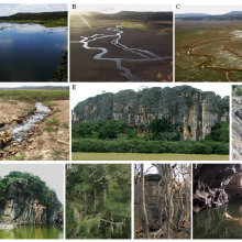 A, B, C) Sumidouro Lake in diferent seasons, D) sinkholes of the Sumidouro Lake, E) Limestone massif of the Cerca Grande State Park and archaeological site, F) Canyon in the Baú Cave limestone, G) Flooded doline in Cerca Grande, H) Lush forest, I) trunk and roots of a dry forest tree. J) Lapa Vermel