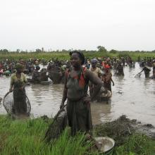 La marre de Sabadou Baranama