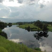 Rivière Likouala-aux-herbes