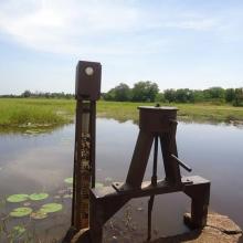 Photo 12 : Piézomètre installé sur la digue du cours d'eau principal