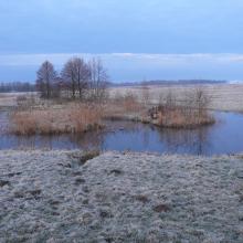 Floodplain of Stokhid near Zarika village