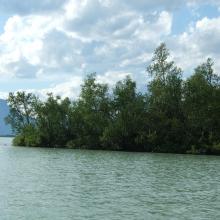 Lake Laitaure with small islets with vegetation like Salix spp. and Betula spp.