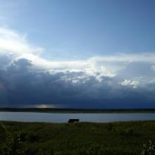 Swidwie Lake Nature Reserve