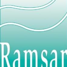 Ramsar Convention Logo
