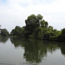 Ranganathittu Habitat