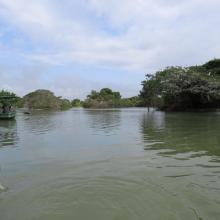 Ranganathittu Habitat