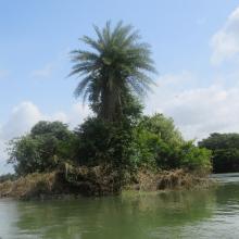 Ranganathittu Habitat