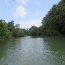 Ranganathittu Habitat