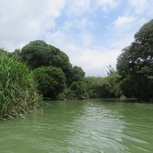 Ranganathittu Habitat