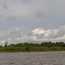 Navigation sur le fleuve Nyanga