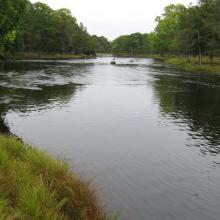 Slow water course of Emån, downstream