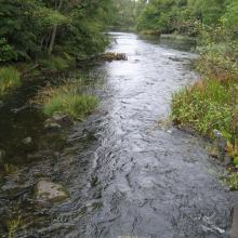 A stream water course of Emån, more upstream