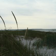 The dunes in Falsterbo