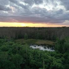 Drone Image of Corkscrew Swamp Sanctuary 