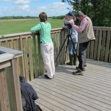 Bird watchers