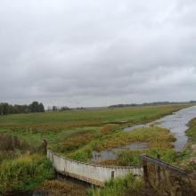 Hammarmaden in the nature reserve Kvismaren.