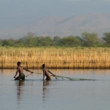 Fishers backwater in northern marsh