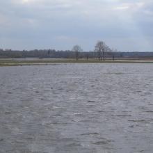 Flooded meadows in Vileity site
