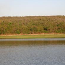 Forêt sèche en bordure du lac Ravelobe
