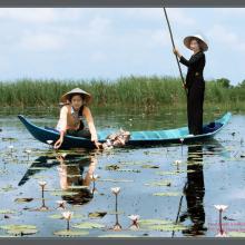 Locals collecting Nymphaea Nouchali