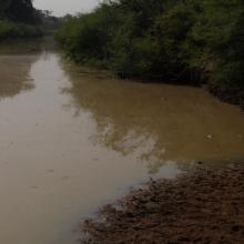 Photo 3 : cours d'eau affluent du fleuve Pendjari