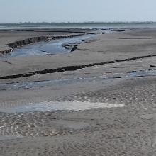 Coastal wilderness in the Gulf of Mottama Coastal wilderness in the Gulf of Mottama