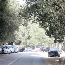 O. Tizguite en aval d'Ifrane : des centaines de véhicules stationnent le long de la route