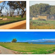 Newly completed infrastructure on Zeekoevlei Eastern Shore, including braai areas (top left), ablution  facilities (top right) and a landscaped central picnic area (bottom).