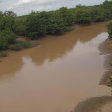 Photo 11: Vue panoramique du fleuve Mouhoun dans la commune de Tchériba