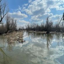 Photograph of the flood basin. Photograph of the flood basin.
