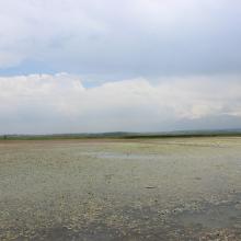 Photograph of the flood basin.