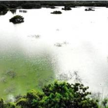 Panoramic view of Vellode Bird Sanctuary