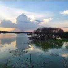 Panoramic view of Vellode Bird Sanctuary