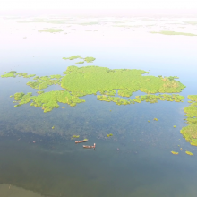 Bird's eye view of Bakhira Wetland Bird's eye view of Bakhira Wetland