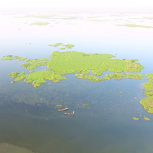 Bird's eye view of Bakhira Wetland