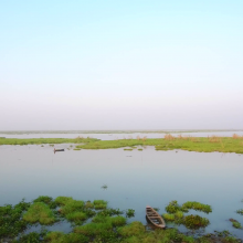Panoramic view of Bakhira wetland 