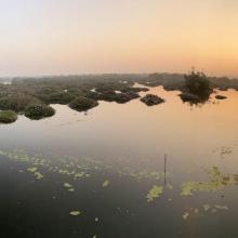 Panoramic view of the Vedanthangal