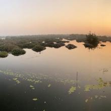 Panoramic view of the Vedanthangal Panoramic view of the Vedanthangal