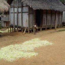 Maison traditionnelle à Nosivolo avec séchage de Raphia