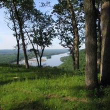 Bluff woodland along LWR Bluff woodland along LWR