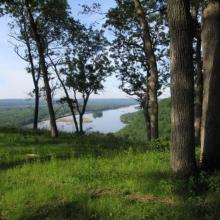 Bluff woodland  along LWR