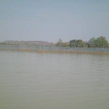Enclos de pisciculture dans le lac