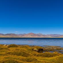 Panoramic view of the freshwater lake of Startsapuk Tso, situated in the Tso Kar basin.