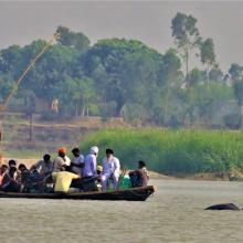 Indus River Dolphin following country boat at Karmowala village. 