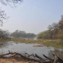 Landscape view of Sultanpur National Park
